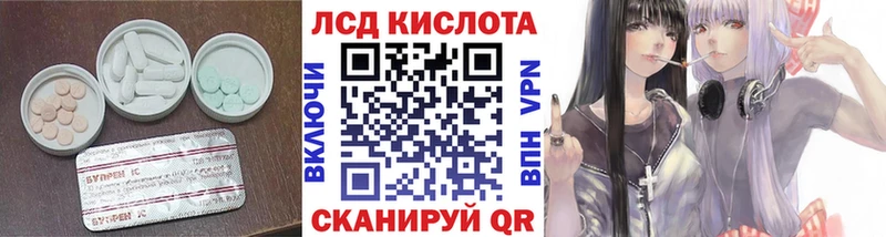 дарнет шоп  Краснозаводск  LSD-25 экстази кислота 