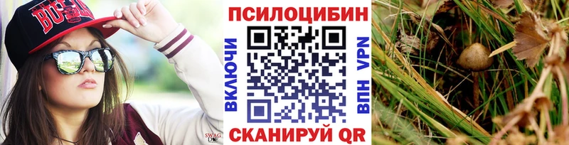 Галлюциногенные грибы ЛСД  Краснозаводск 